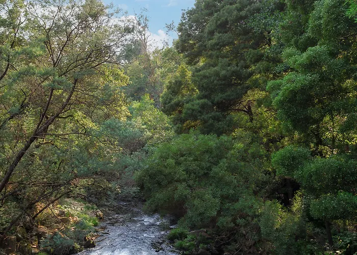 بيت ضيافة A Loja Do Cantoneiro